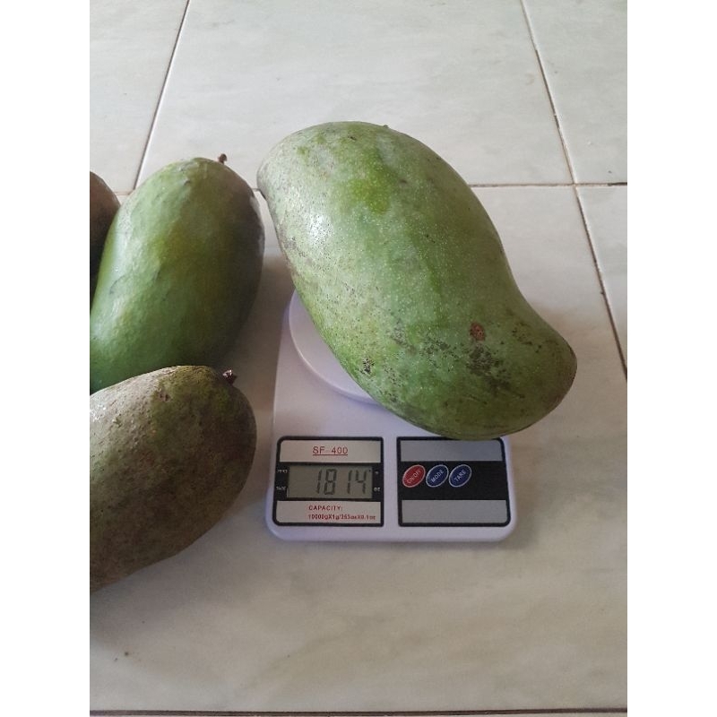 

Mangga lokal super 5kg