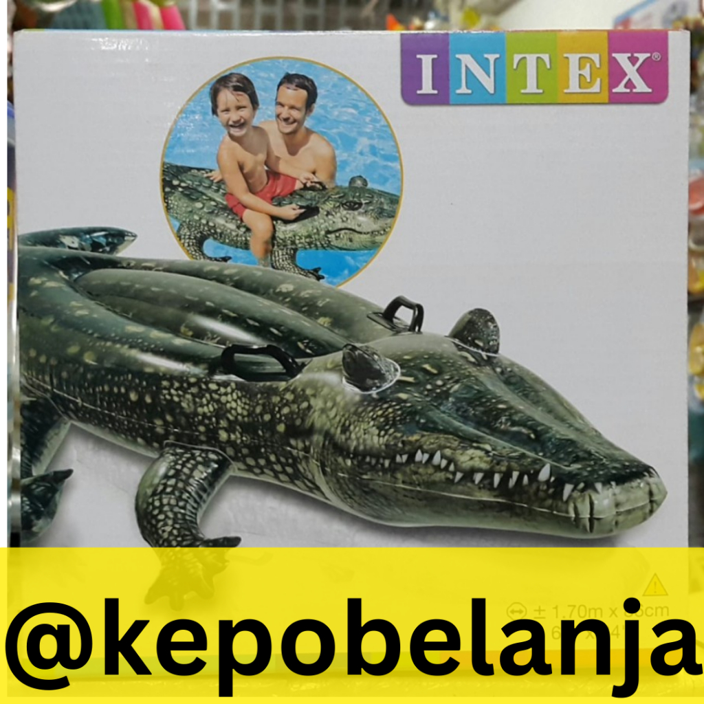 INTEX 57551| Pelampung Renang Realistic Lil' Gator | Gator Ride-On Float INTEX 57551|PeLAMPUNG BUAYA
