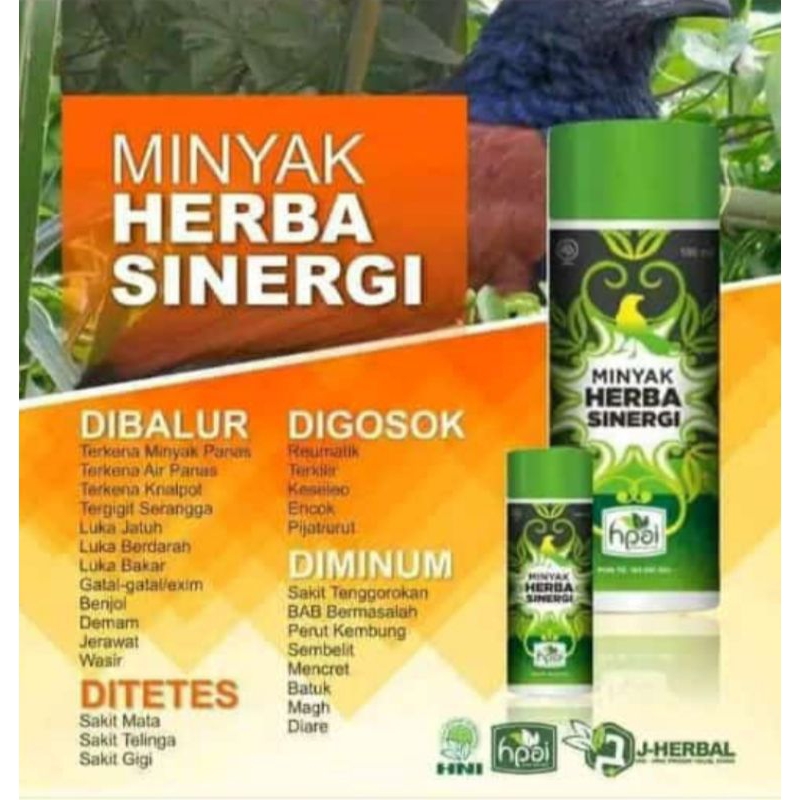 Minyak Herba Sinergi But Butbut HNI HPAI Ajaib Herbal Urut Pijat Nyeri Sendi Luka Gosok Original