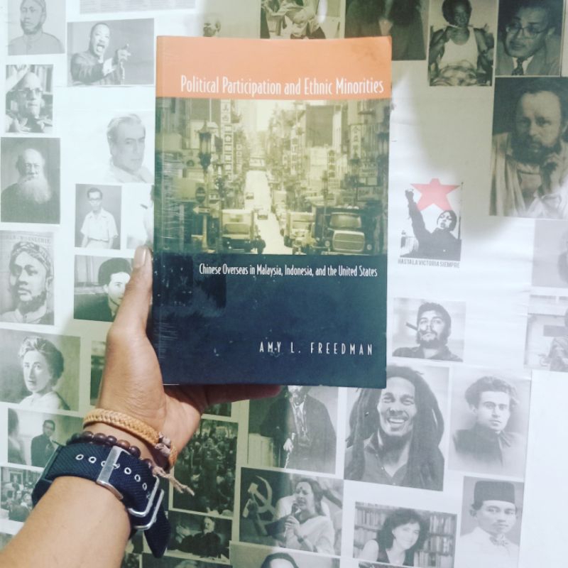 Political Participation and Ethnic Minorities: Chinese Overseas in Malaysia, Indonesia, and the Unit