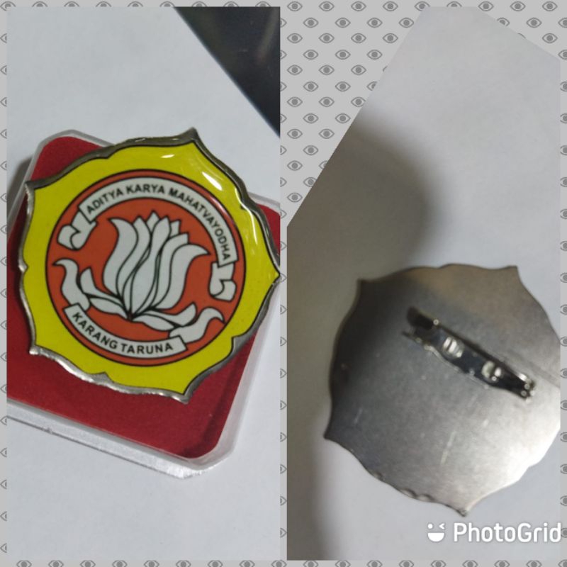 pin karang taruna