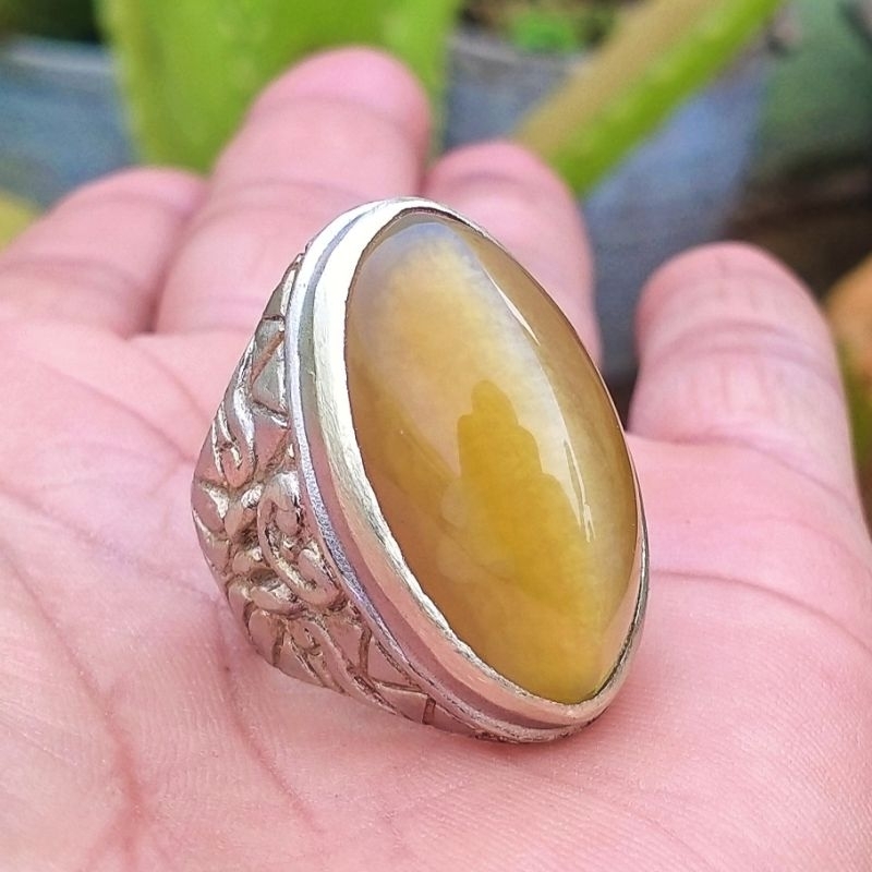 batu akik pandan nanas lumut kristal