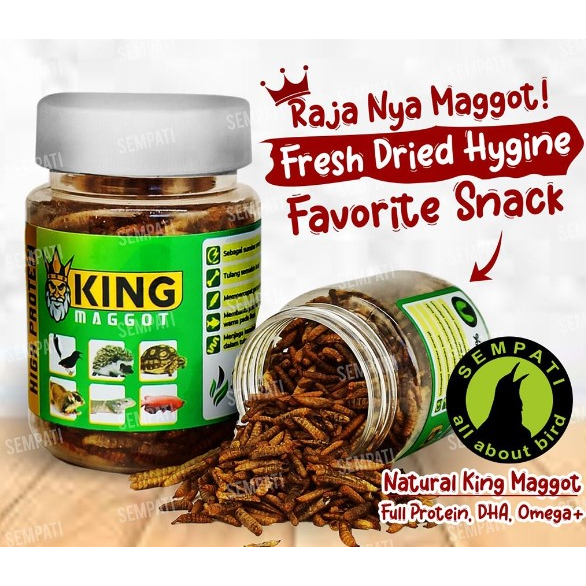 SEMPATI KING MAGGOT SEMPATI BSF SUPER MAGOT MAGGOT KERING DRY FRESH MAGOT PAKAN BURUNG IKAN ARWANA C