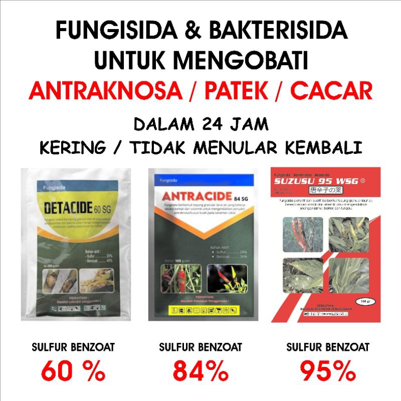 SUZUSU - ANTRACIDE - DETACIDE, FUNGISIDA ANTRAKNOSA PATEK CACAR BUAH BULAI JAGUNG