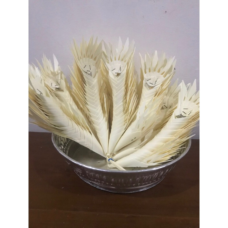 kwangen ental dijual per ikat/slop