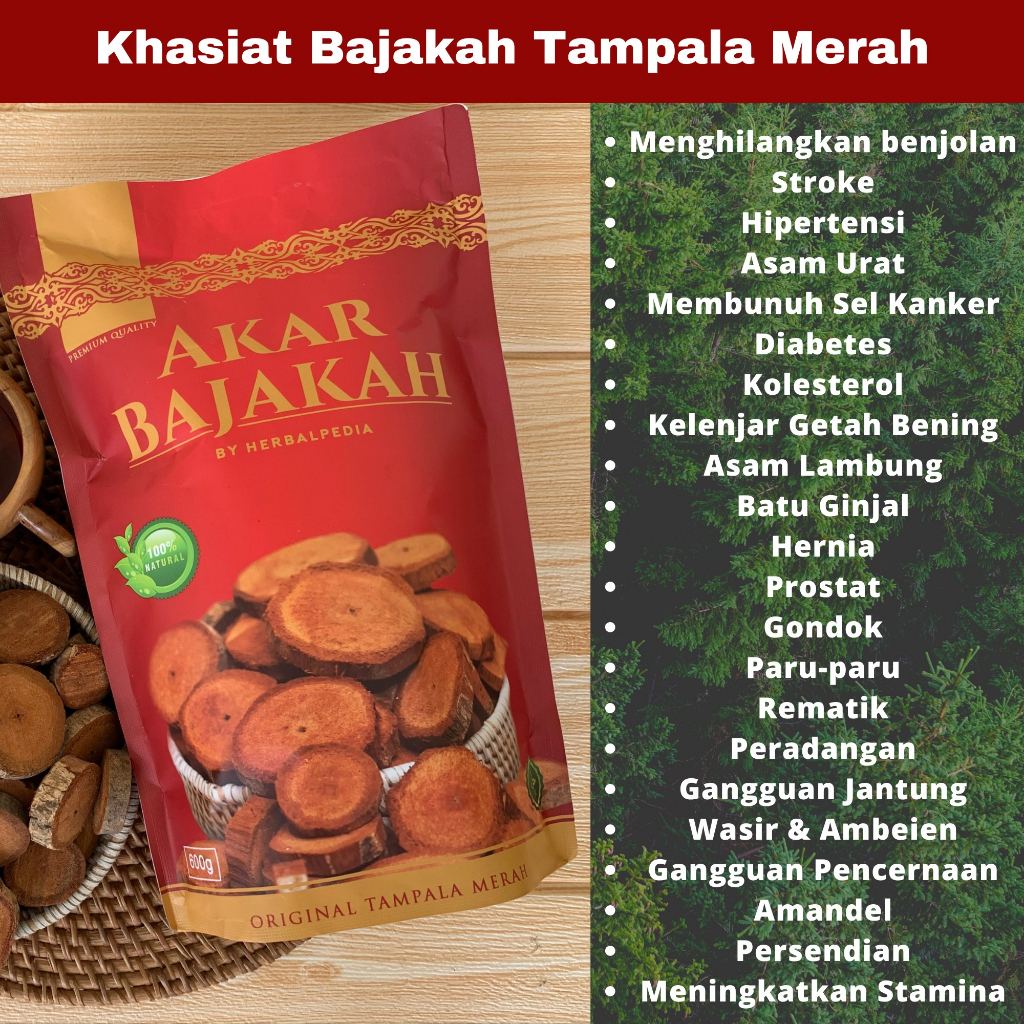 AKAR KAYU BAJAKAH TAMPALA MERAH PREMIUM ASLI ORIGINAL KALIMANTAN TENGAH