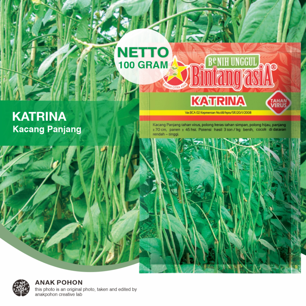 (1 PACK) Benih Kacang Panjang KATRINA Seeds - Bintang Asia - 100 GRAM