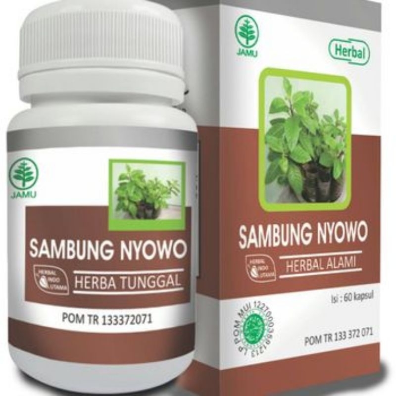 

Sambung Nyowo Herbal Indo Utama