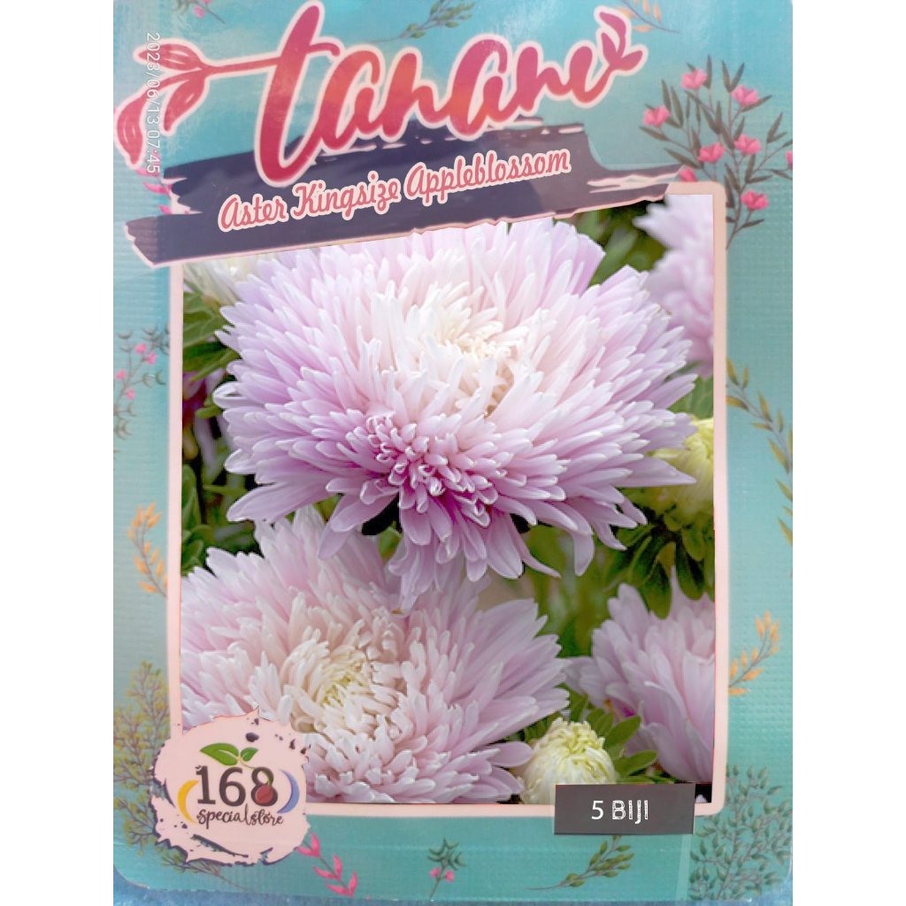 Biji Bunga Aster Kingsize Appleblossom (Isi 5 biji)