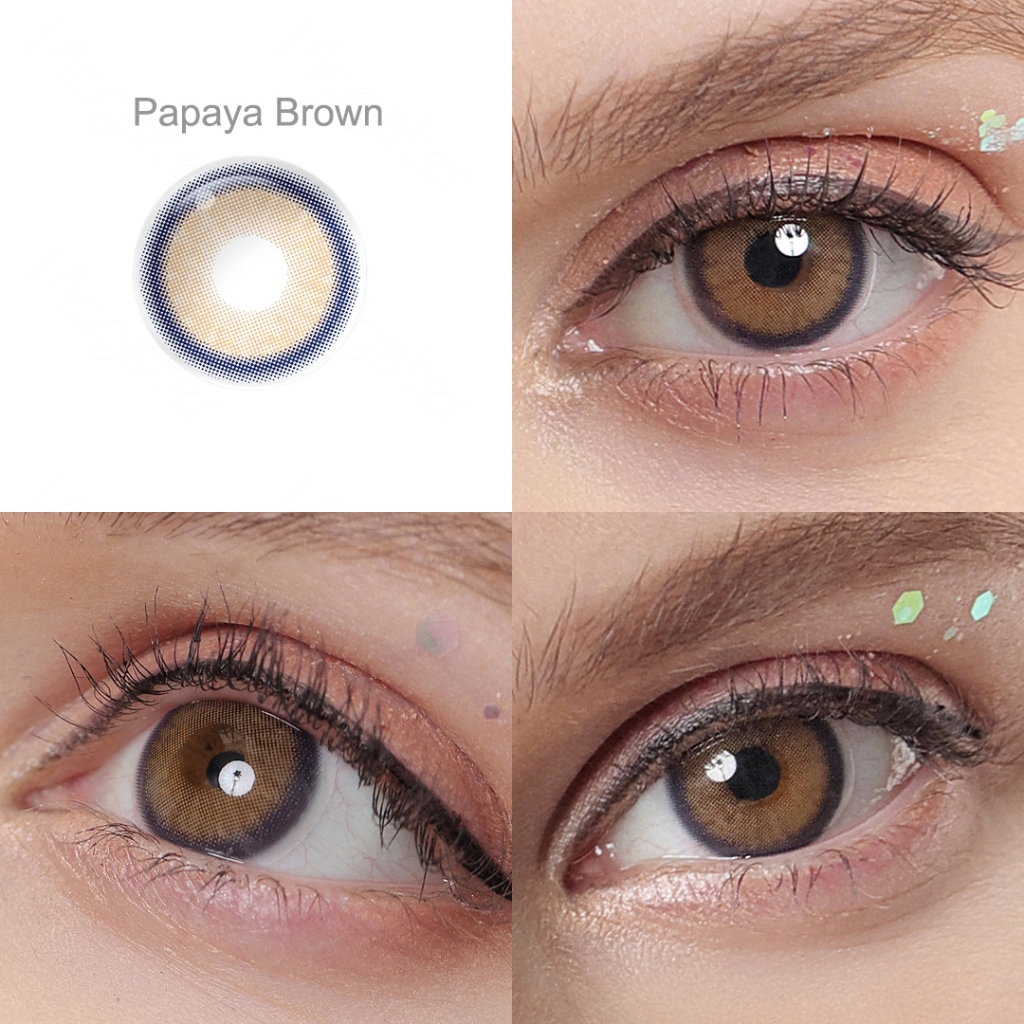 [0.00~-6.00] MAGISTER SOFTLENS MINUS 14MM SOFTLENS MELODY PAPAYA BROWN / CREAM BROWN