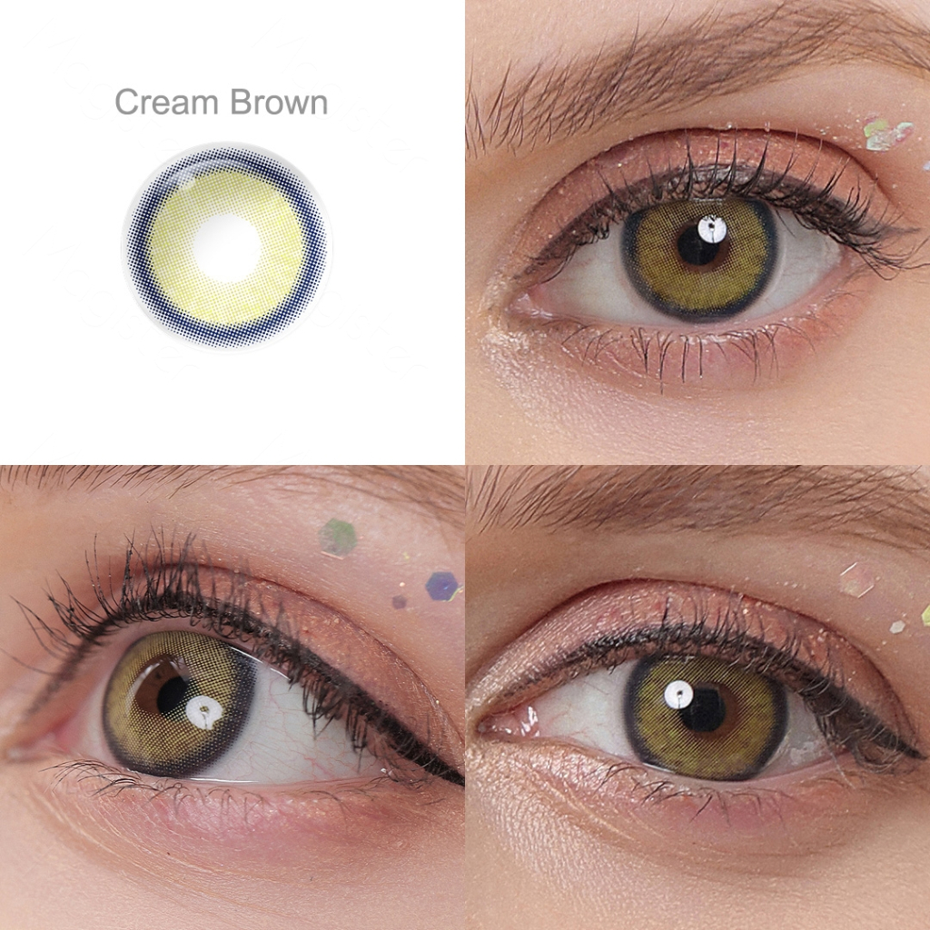 [0.00~-6.00] MAGISTER SOFTLENS MINUS 14MM SOFTLENS MELODY PAPAYA BROWN / CREAM BROWN