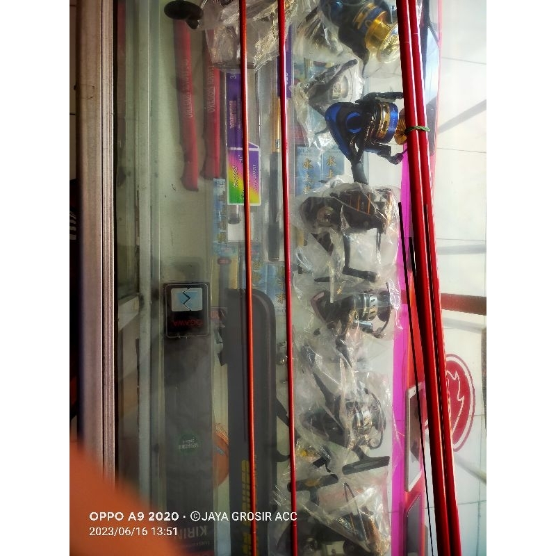 ros tegek kingcatfish 300 no 2 dari atas