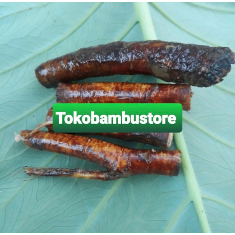 

Akar awar awar akar daun awar awar 250 gram-az