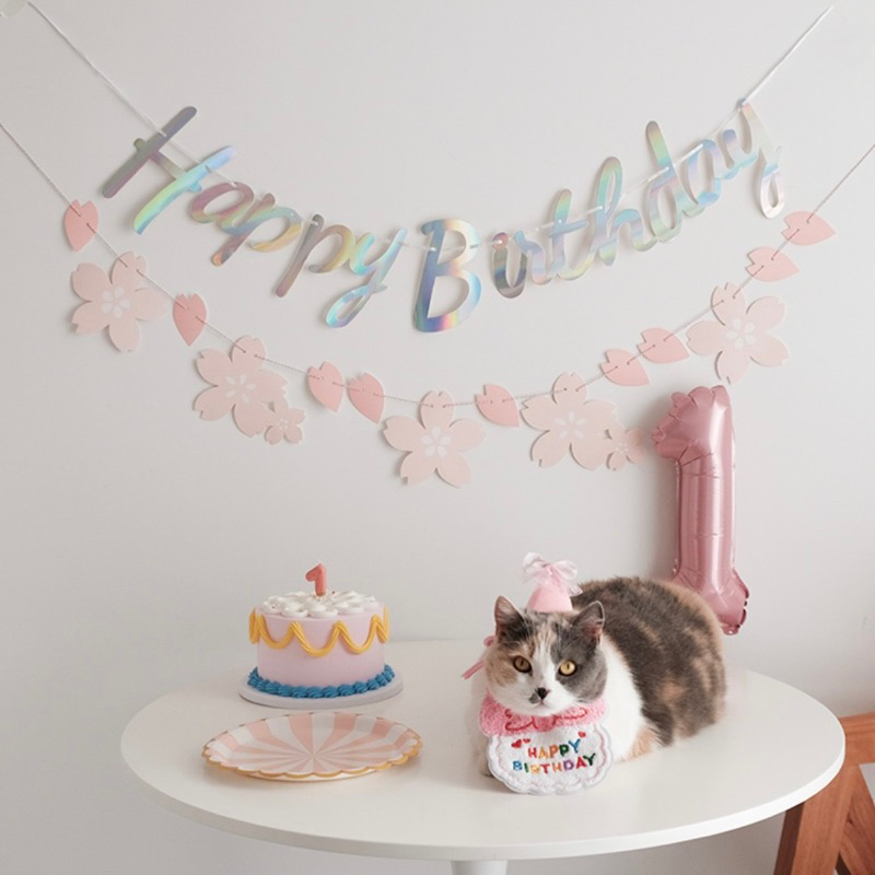 Dekorasi Ulang Tahun Anjing Kucing