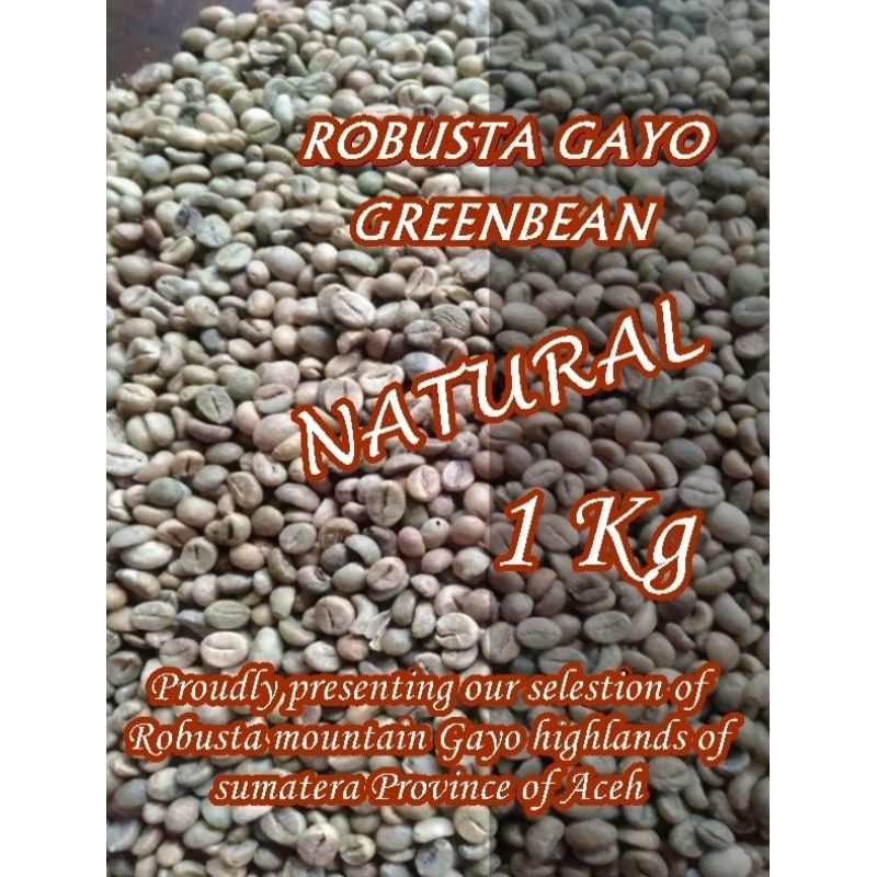 

Green Bean Robusta Natural Gayo || gread 1 Pilihan