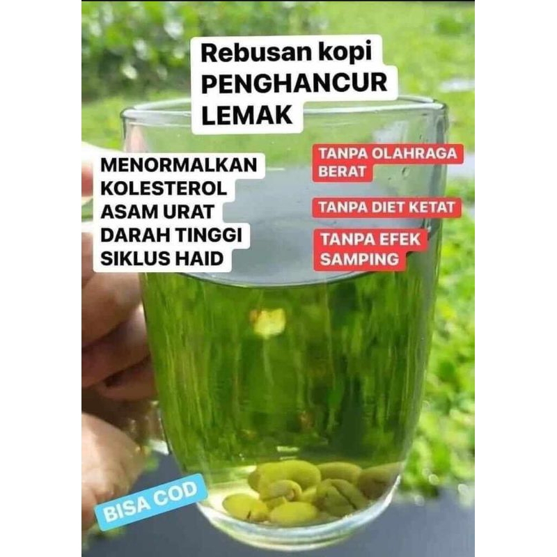 

kopi hijau pelangsing & kesehatan