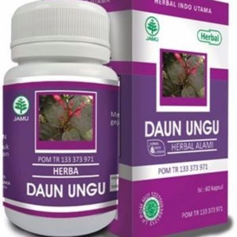

Daun Ungu Herbal Indo Utama