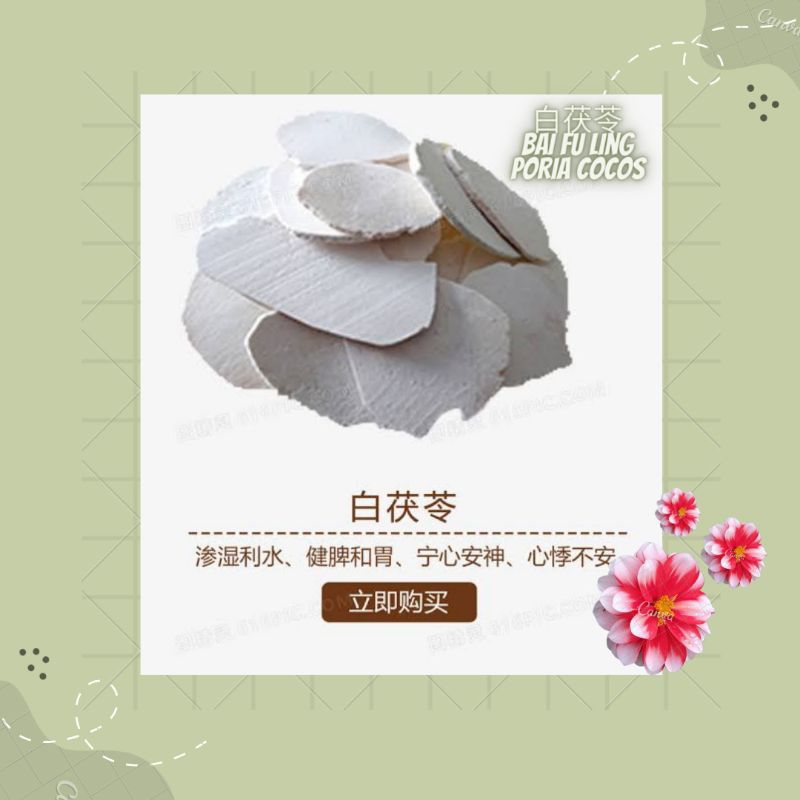

300 G GR GRAM BAI FU LING 白茯苓 PORIA COCOS