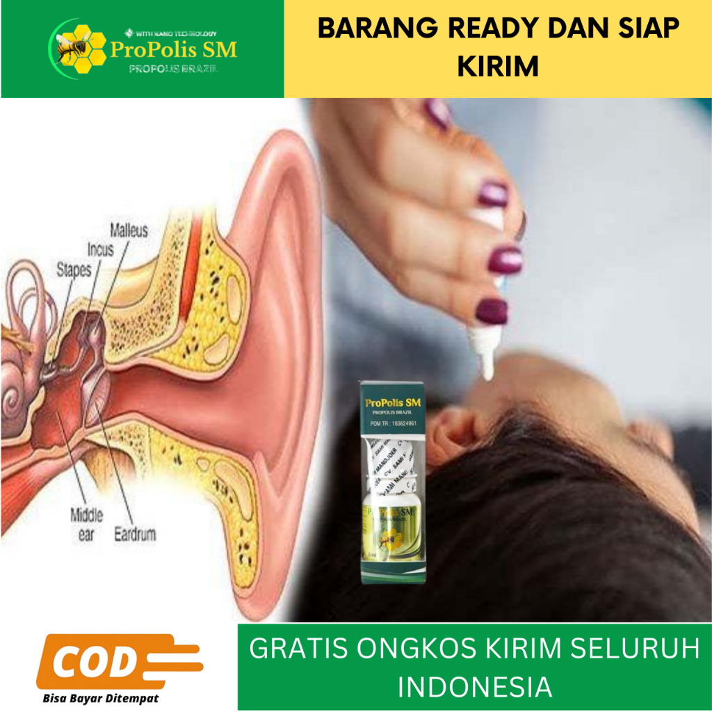 Obat Tetes Telinga Gatal Berair Obat Tetes Telinga Budeg Berdengung Obat Congek Bernanah Obat Infeks