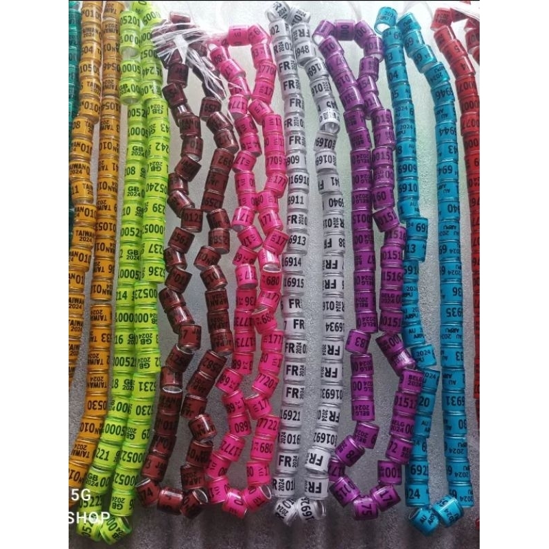 ring burung merpati cincin gelang dara import