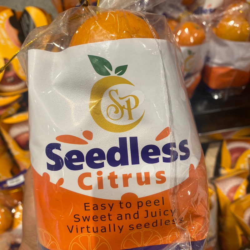 

Jeruk wokam sweet seedless | jeruk wokam fresh pack tampa biji