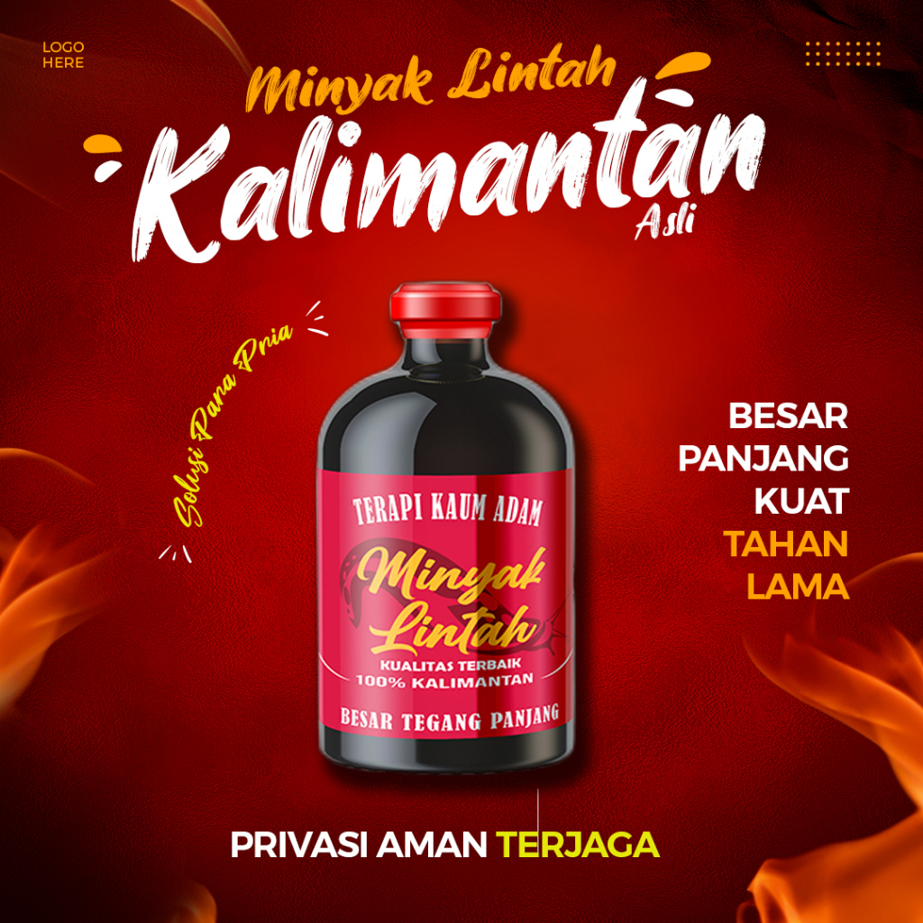 Minyak  ekstrak Lintah kalimantan Asli