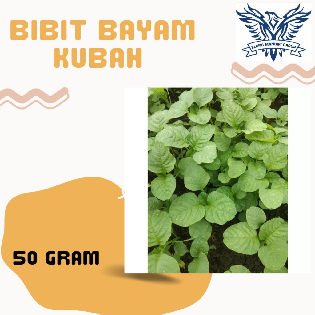 REPACK Benih Bayam KUBAH 50gr Bibit Sayuran Unggul Bintang Asia