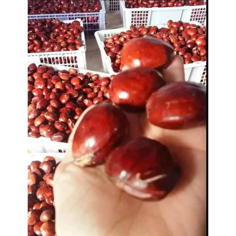 

Jengkol Tua 1 kg