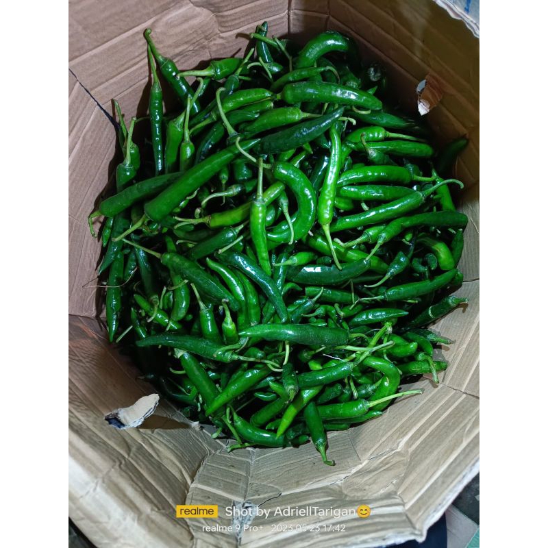 

Cabe hijau keriting Besar Segar 500gram