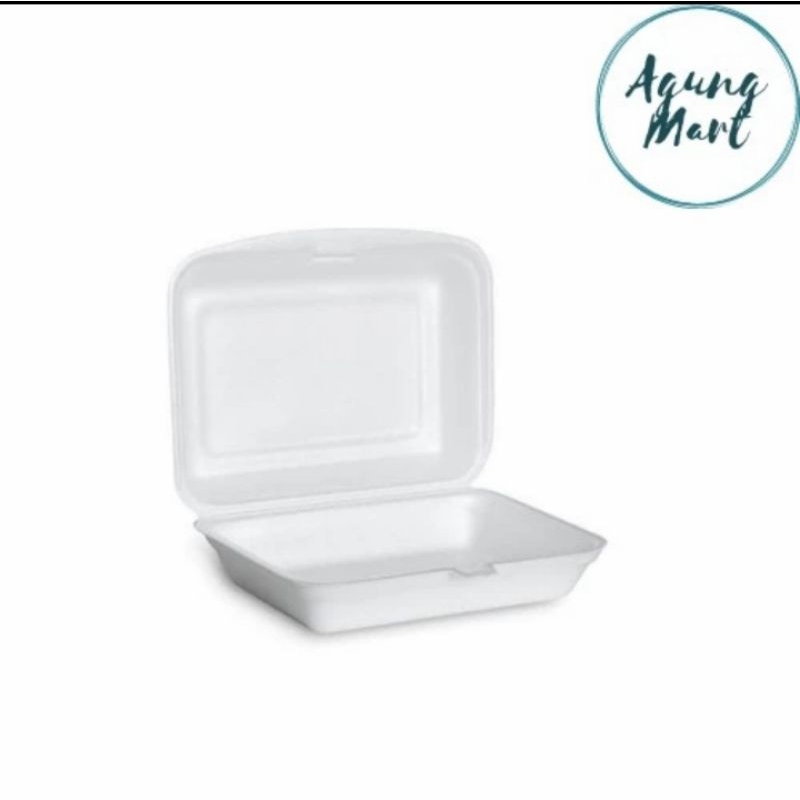 Kotak Styrofoam Kcs 2 Polos isi 10pcs