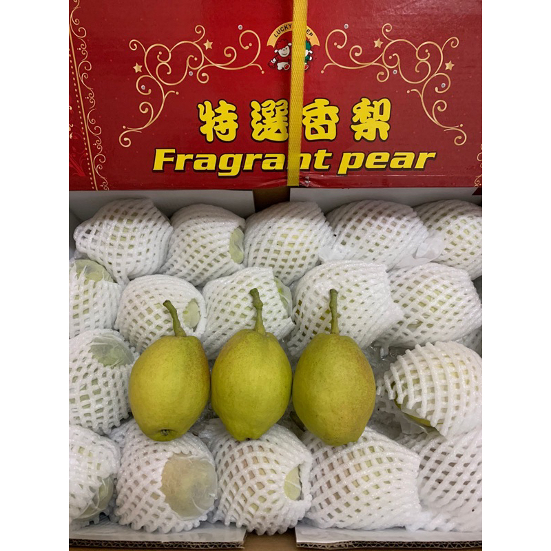 

Pir XiangLie