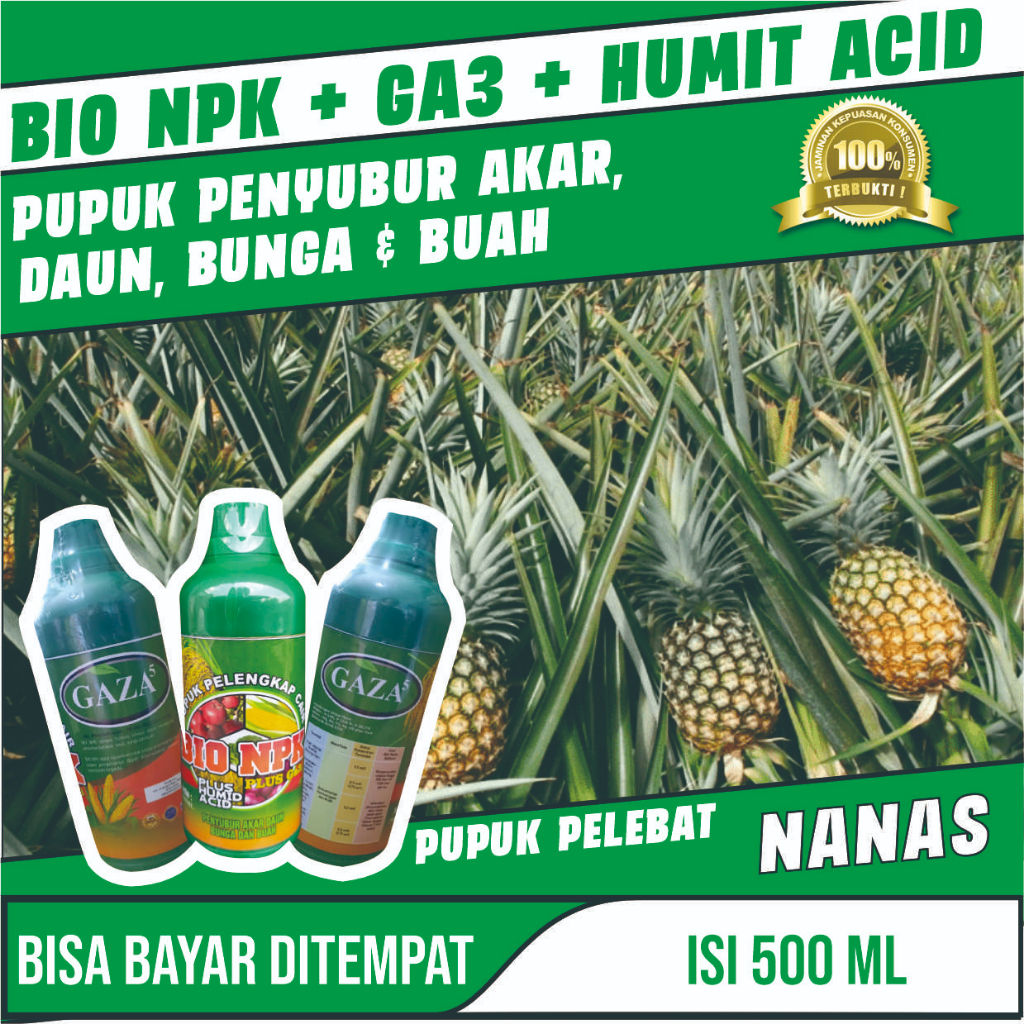 Obat Pelebat Buah Nanas Paling Bagus Bio Npk Gaza Pupuk Npk Cair Alami Pelebat,Perangsang,Pembesar B
