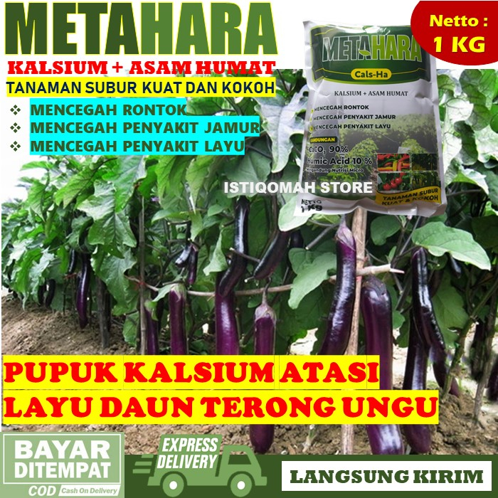 100% MANJUR 1 KG METAHARA Pupuk Kalsium Bubuk Obat Layu Daun Tanaman Terong Paling Ampuh, Obat Kalsi