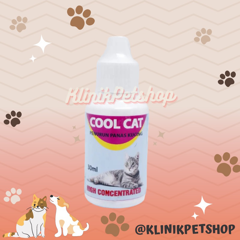 COOL CAT - PEREDA NYERI DAN PENURUN PANAS KUCING DEMAM KITTEN ATAU INFEKSI