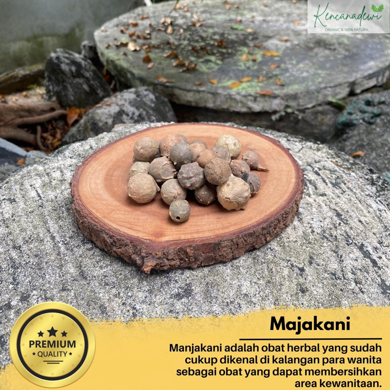 

Buah manjakani kering asli - Biji manjakani - Herbal kewanitaan 250gram - 1kg