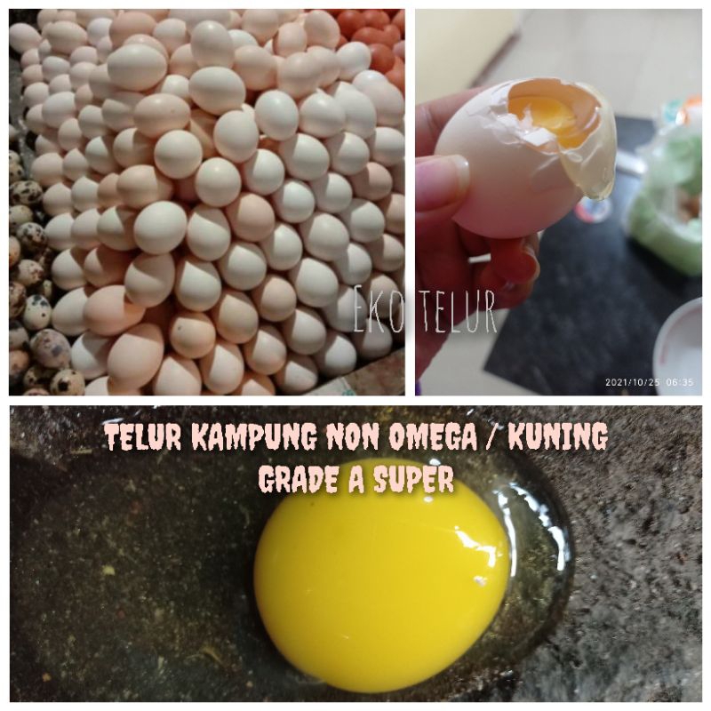 

Telur Ayam Kampung Kuning Asli Segar (Non Omega) "GRADE A