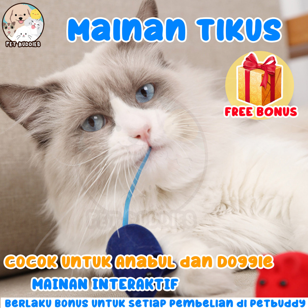 [FREE BONUS]Mainan Kucing Bentuk Tikus Bisa Bunyi Cit Cit