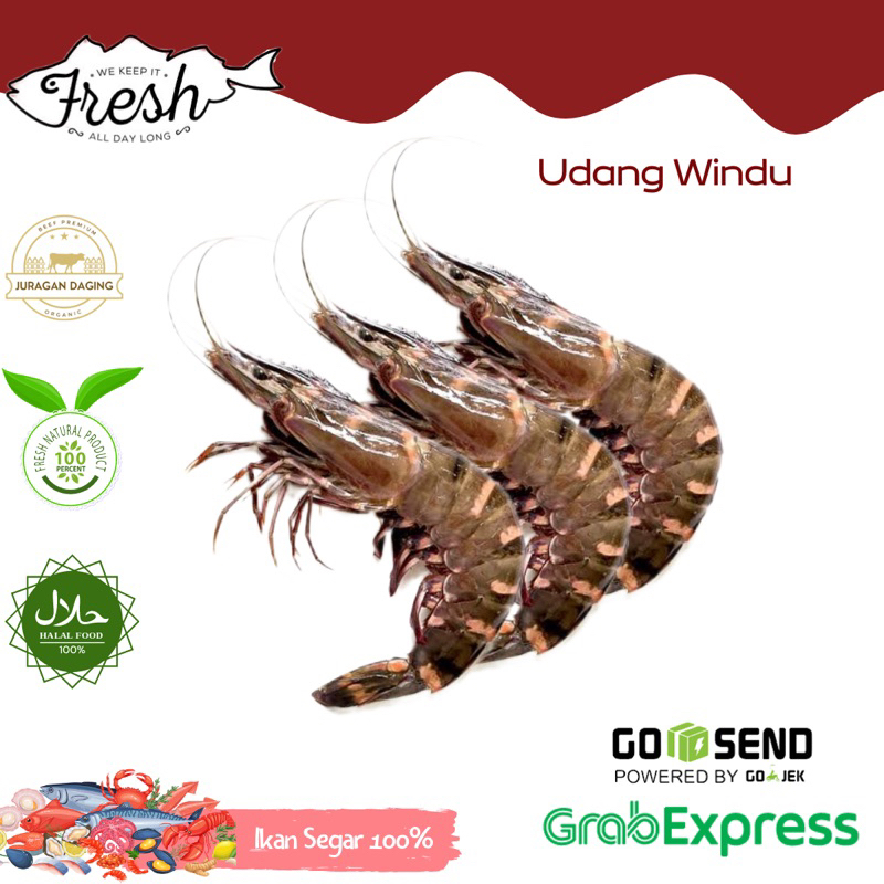 

UDANG WINDU PANCET FRESH 1kg