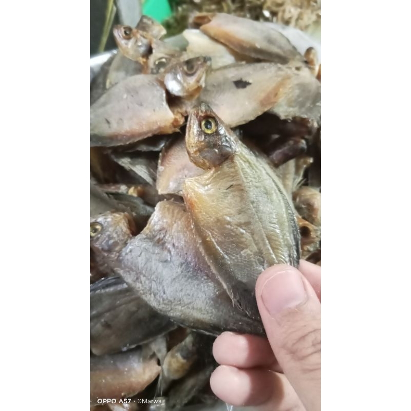 

ikan asin sepat kecil ikan asin separ kualitas super harga murah