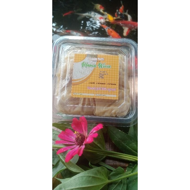 

Bumbu Kuning 250gr Mama Wiwie (BAHAN REMPAH PREMIUM,ORIGINAL DAN TERMURAH)
