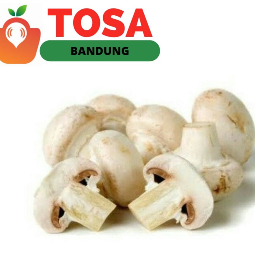 

jamur champignon(jamur kancing)/Jamur Kuping(Lember)/Jamur Tiram Hemat