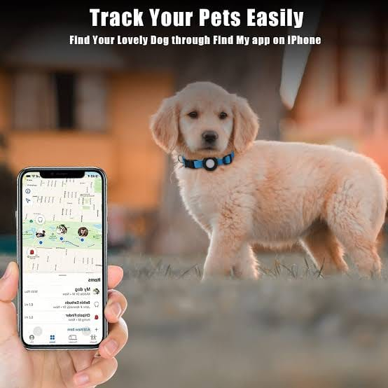 AIR TAG APPLE (A2187) / GPS / Gps Pelacak Hewan / Tag Hewan GPS / Bisa Melacak Hewan