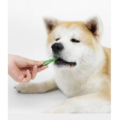 Whimzees Stick Single Cleaning Teeth Snack Sehat Pembersih Gigi Chew Stick Kunyah Untuk Gigi Sehat Snack Anjing Anabul FEFARM