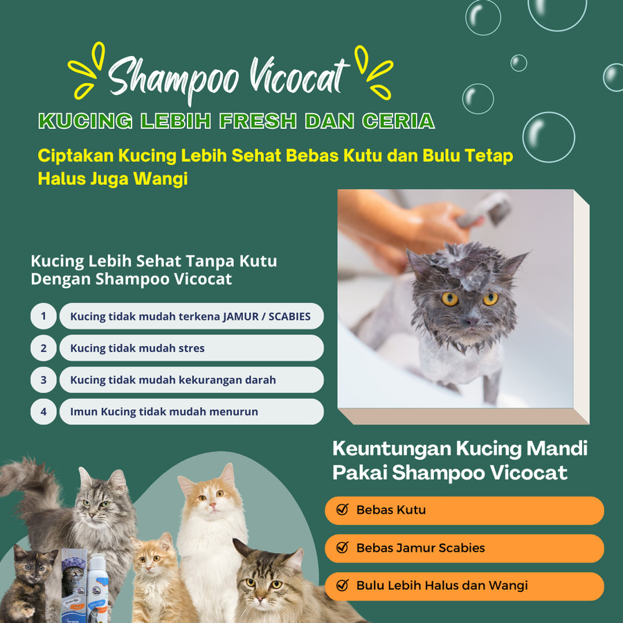 Shampoo Vico Shampo Kutu Kucing Ampuh Basmi Tuntaskan Kutu Kucing Vicocat shampo kucing