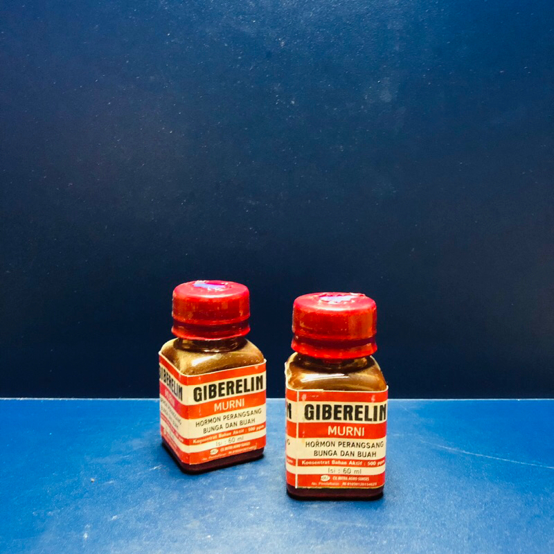 GIBERELIN Giberelin Murni Hormon perangsang bunga dan buah 60ml Giberalin