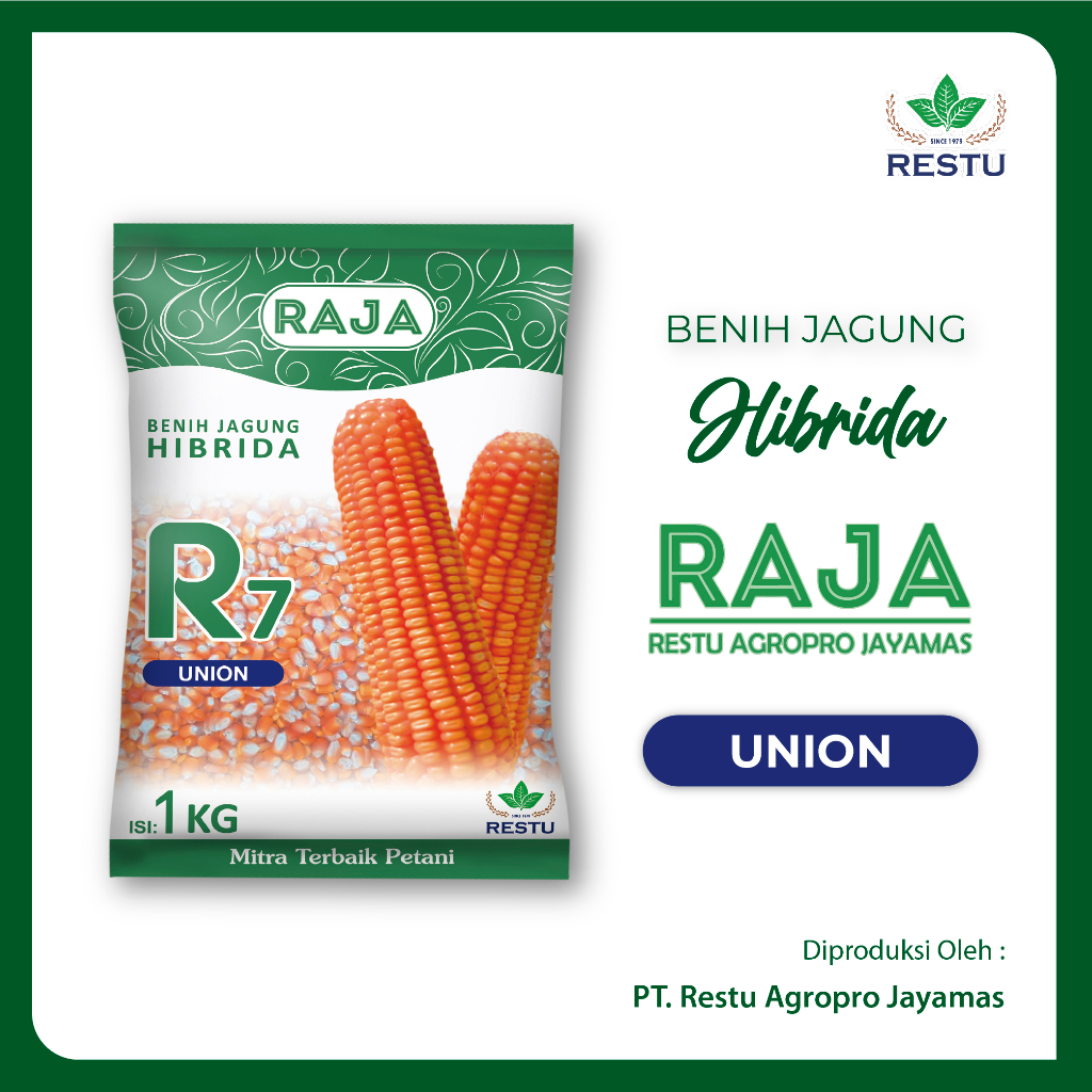 

Benih Jagung RAJA Union