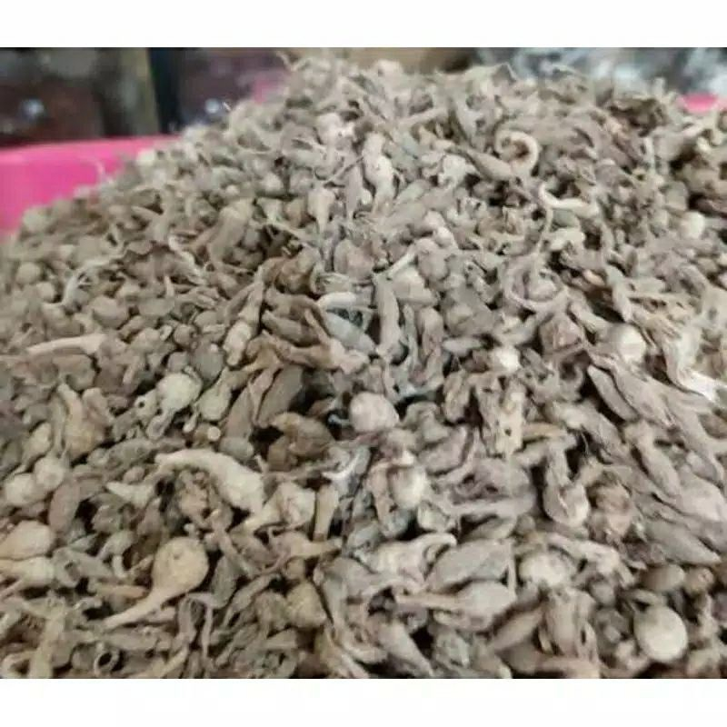

HERBAL TERBAIK KUNCI PEPET KERING 250 GRAM