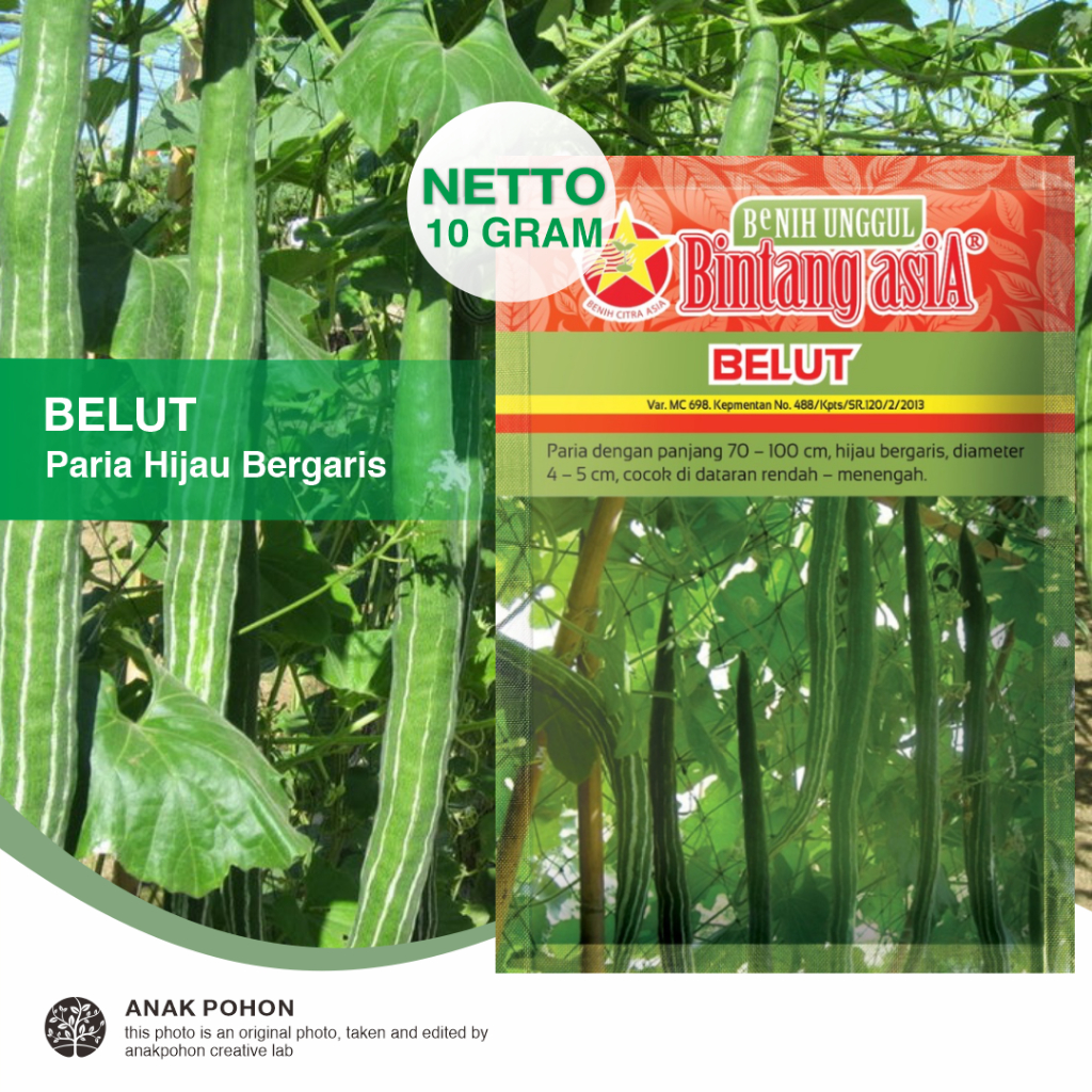 (1 PACK) Benih Pare BELUT Paria Hijau Lurik Bergaris Putih Snake Gourd Seeds - Bintang Asia - 10 GRAM