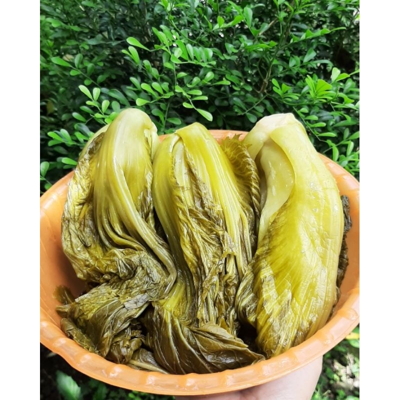 

sayur asin/sawi asin/ham choi/ kiam chai/ ham choy/ suan cai/ pickled mustard green/ pickled sour mustard
