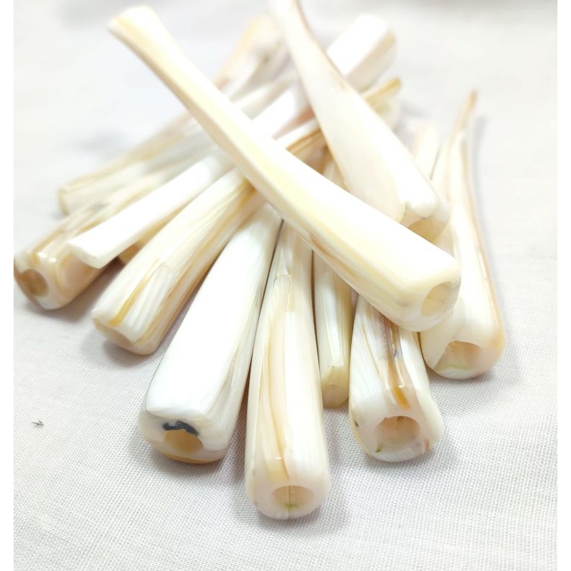 PIPA ONCE KERANG PUTIH ASLI SIAP PAKAI